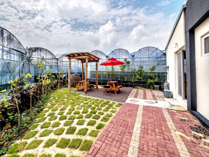 Soborok Yoborok Villa Seogwipo Exterior foto